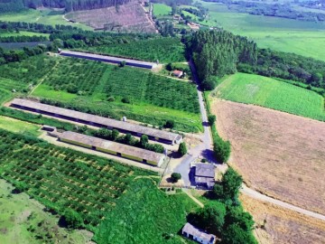 Fazenda  Venda