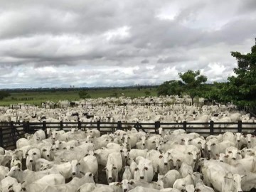 Fazenda  Venda