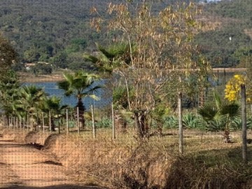 Fazenda  Venda