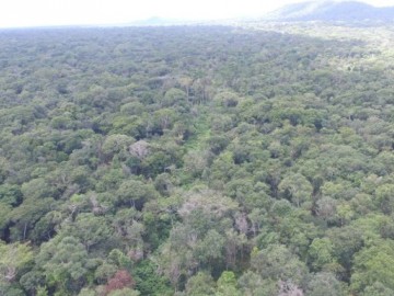 Fazenda  Venda