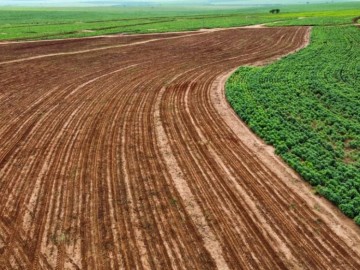 Fazenda  Venda